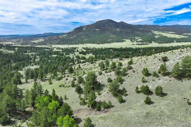 TRACT8 County Road 102, Guffey, CO 80820 - photo 13