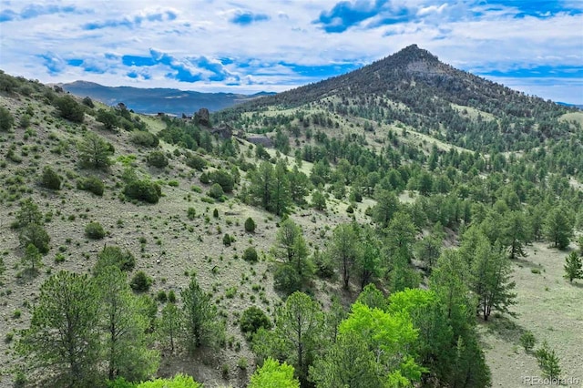 TRACT8 County Road 102, Guffey, CO 80820 - photo 14
