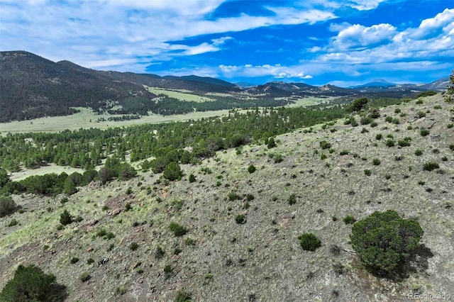 TRACT8 County Road 102, Guffey, CO 80820 - photo 15