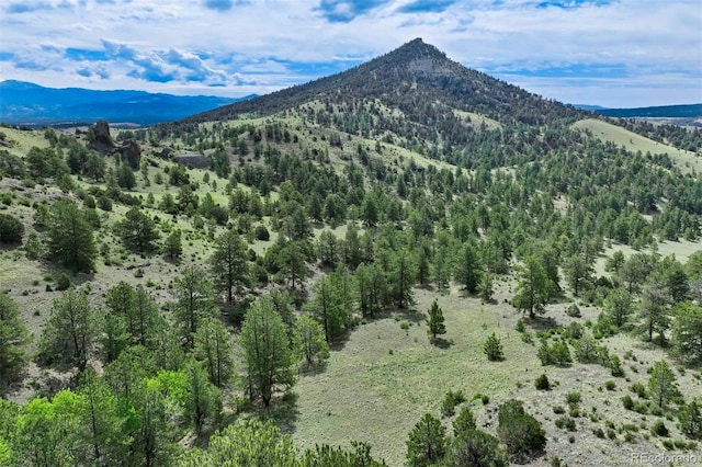 TRACT8 County Road 102, Guffey, CO 80820 - photo 16