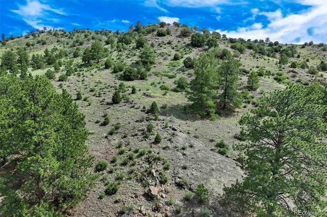 TRACT8 County Road 102, Guffey, CO 80820 - photo 17