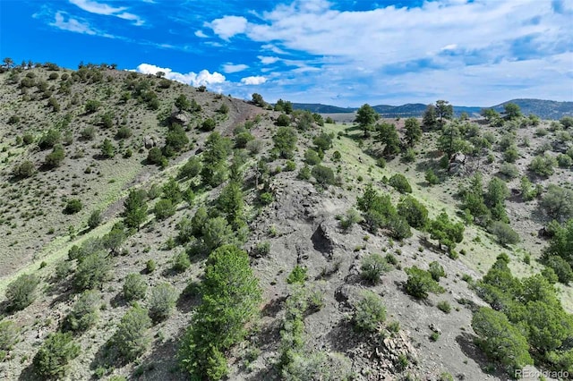 TRACT8 County Road 102, Guffey, CO 80820 - photo 18