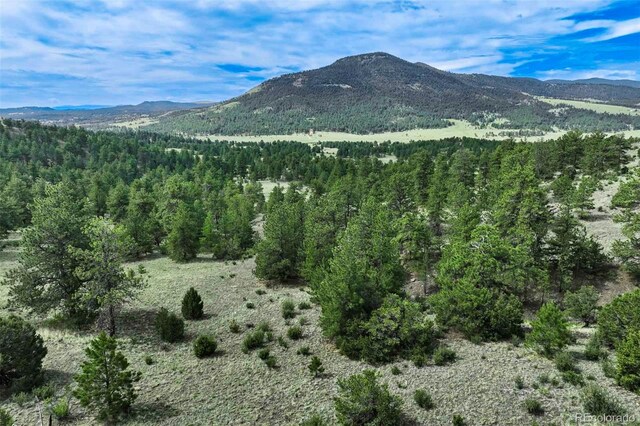 TRACT8 County Road 102, Guffey, CO 80820 - photo 19