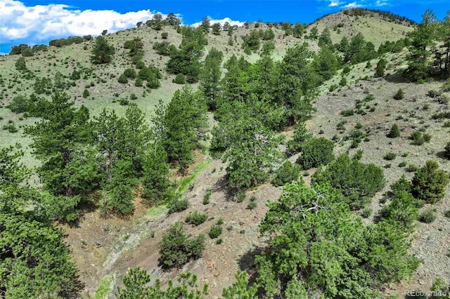 TRACT8 County Road 102, Guffey, CO 80820 - photo 20
