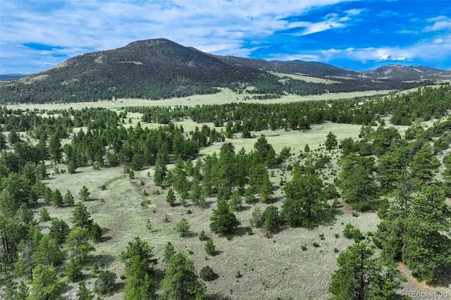 TRACT8 County Road 102, Guffey, CO 80820 - photo 21