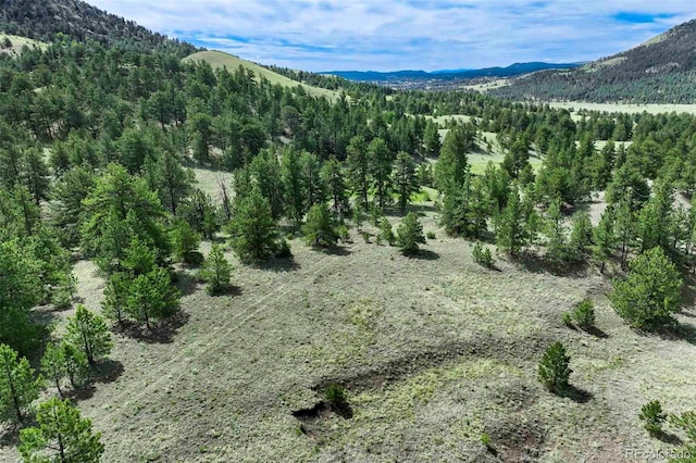 TRACT8 County Road 102, Guffey, CO 80820 - photo 22