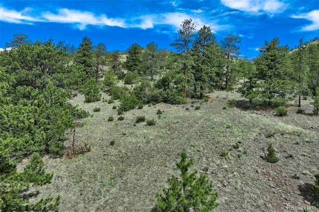 TRACT8 County Road 102, Guffey, CO 80820 - photo 23