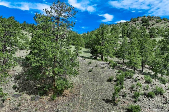 TRACT8 County Road 102, Guffey, CO 80820 - photo 24