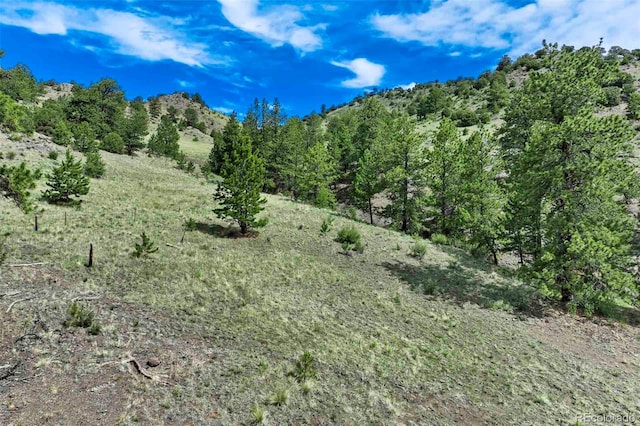 TRACT8 County Road 102, Guffey, CO 80820 - photo 25