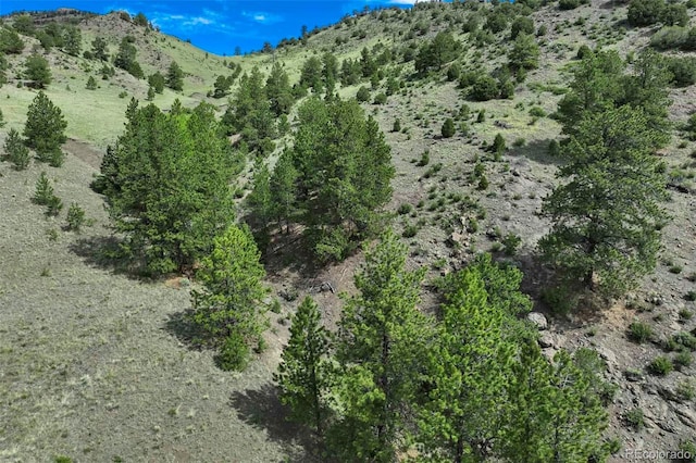 TRACT8 County Road 102, Guffey, CO 80820 - photo 26