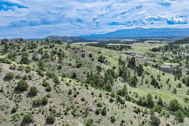 TRACT8 County Road 102, Guffey, CO 80820 - photo 27