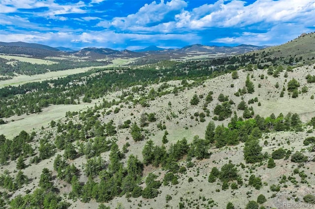 TRACT8 County Road 102, Guffey, CO 80820 - photo 28