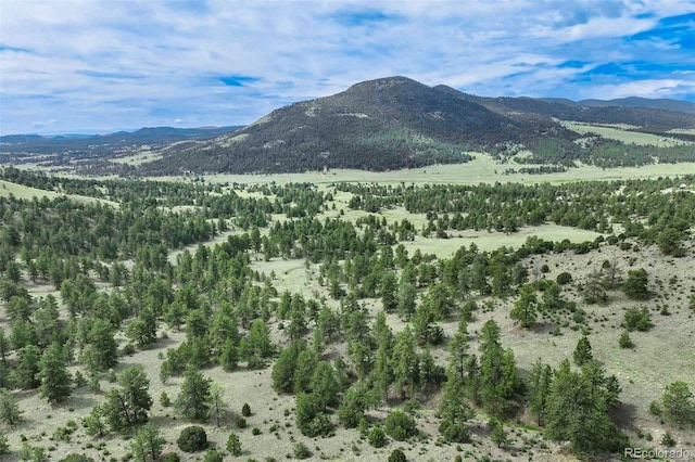 TRACT8 County Road 102, Guffey, CO 80820 - photo 29