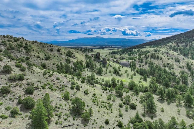 TRACT8 County Road 102, Guffey, CO 80820 - photo 30