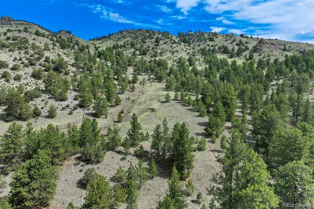 TRACT8 County Road 102, Guffey, CO 80820 - photo 31