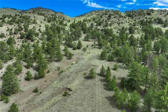 TRACT8 County Road 102, Guffey, CO 80820 - photo 32