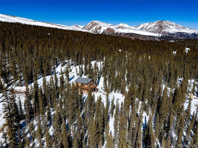 property view of mountains with a view of trees