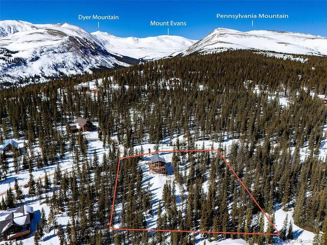 mountain view featuring a view of trees