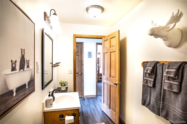 bathroom featuring wood finished floors and vanity