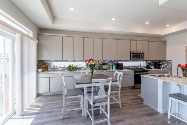 kitchen with appliances with stainless steel finishes, light hardwood / wood-style floors, sink, and a tray ceiling