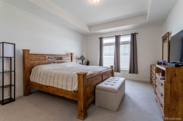 bedroom with a raised ceiling and carpet floors