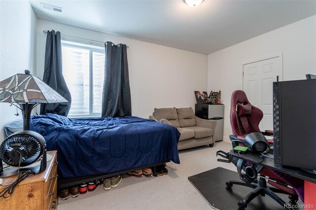 bedroom with carpet floors