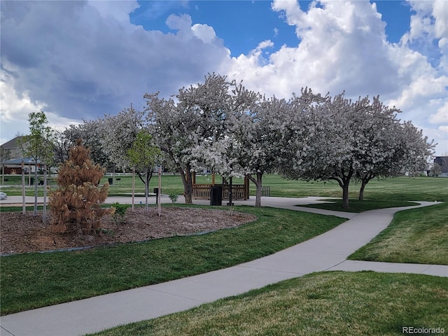 16048 Butterwort Cir, Parker, CO 80134 - view of community with a lawn