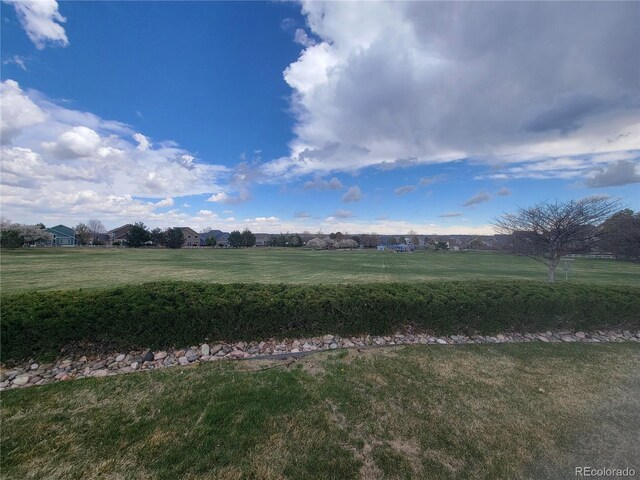 16048 Butterwort Cir, Parker, CO 80134 - view of yard
