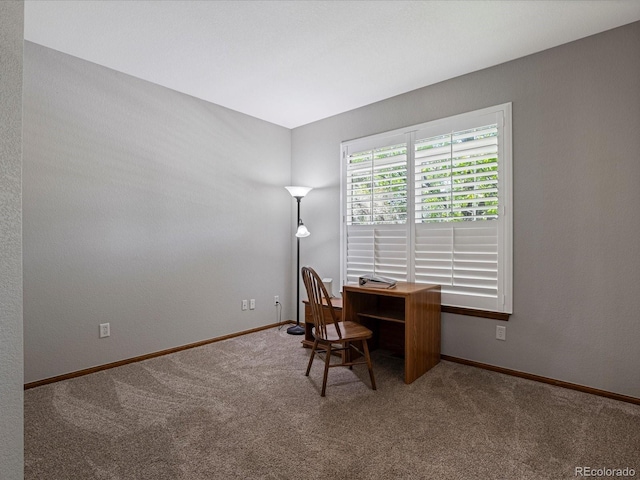 6900 W Grant Ranch Blvd Unit 49, Littleton, CO 80123 - carpeted office with baseboards