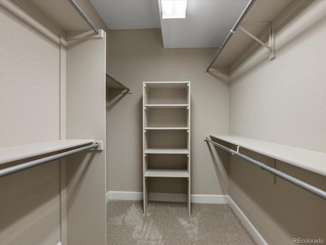 6900 W Grant Ranch Blvd Unit 49, Littleton, CO 80123 - spacious closet featuring carpet flooring