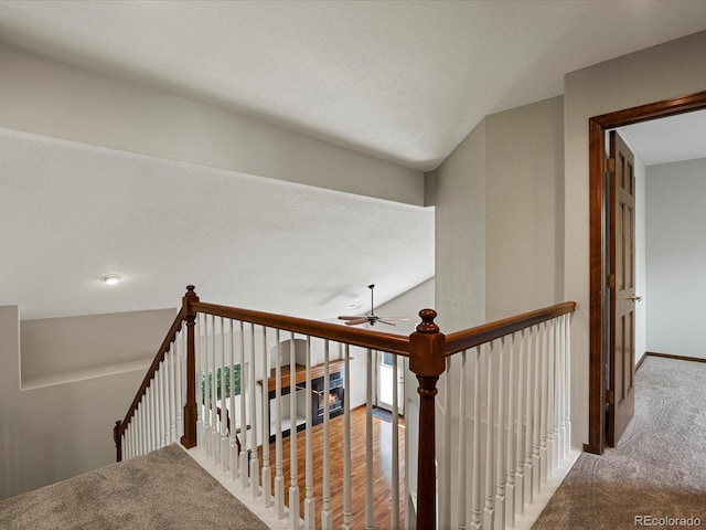 6900 W Grant Ranch Blvd Unit 49, Littleton, CO 80123 - stairway featuring carpet flooring, a ceiling fan, and baseboards