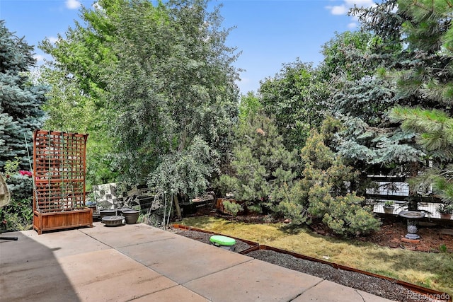 8688 S Addison Way, Aurora, CO 80016 - photo 38