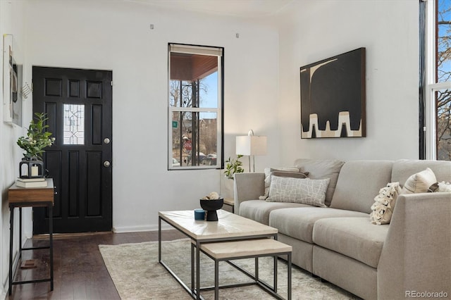 living room with dark hardwood / wood-style flooring