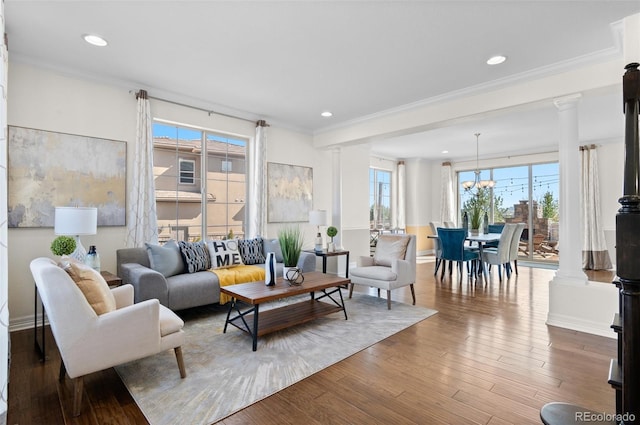 living room featuring crown molding, decorative columns, and wood finished floors