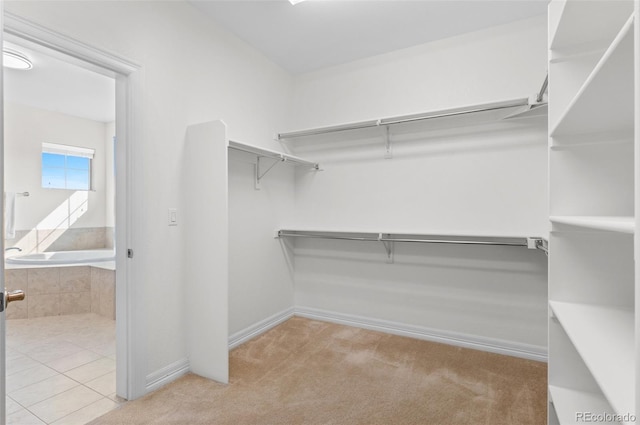 spacious closet with carpet floors