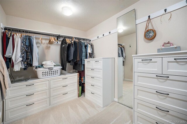 spacious closet with light colored carpet
