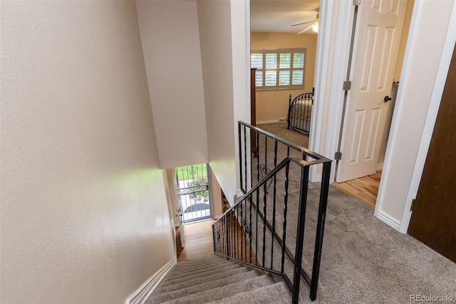5527 S Lowell Blvd, Littleton, CO 80123 - photo 7