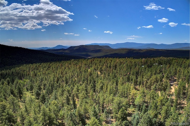 448 Rd B, Pine, CO 80470 - photo 35