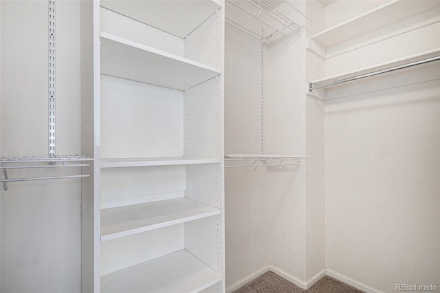 10359 Tracewood Dr, Highlands Ranch, CO 80130 - spacious closet with carpet floors