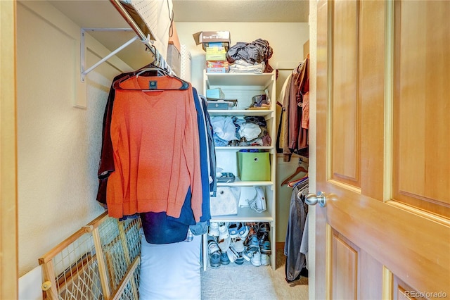 3354 Wabash St, Denver, CO 80238 - walk in closet featuring carpet floors