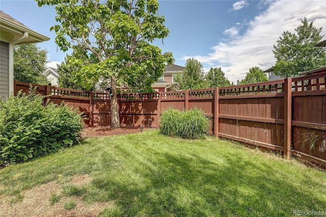3354 Wabash St, Denver, CO 80238 - view of fenced backyard