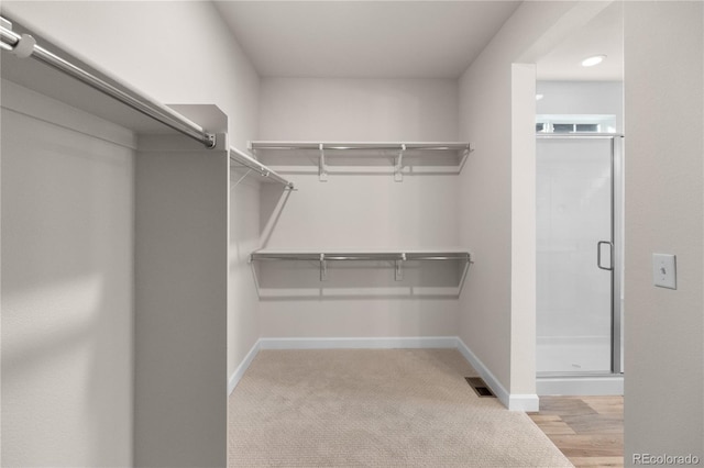 spacious closet with light carpet