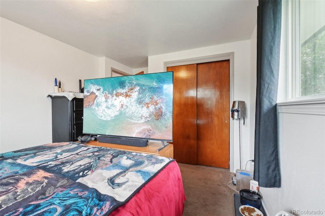 12734 Anhawa Ave, Longmont, CO 80503 - carpeted bedroom with a closet