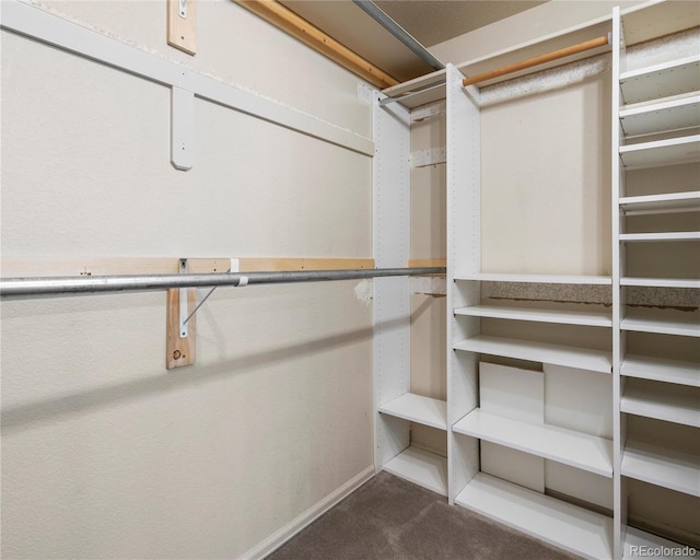 walk in closet with dark carpet