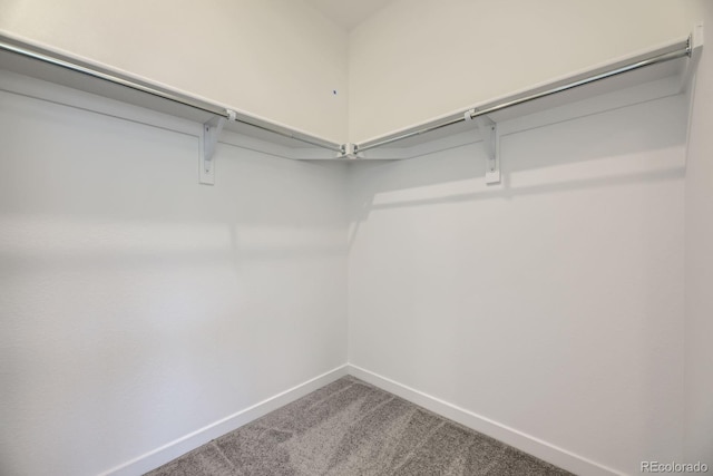 1974 S Haleyville Way, Aurora, CO 80018 - walk in closet with carpet