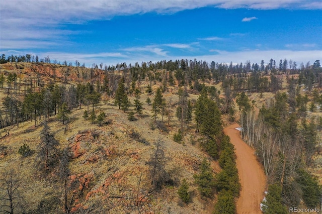 397 Chateau W Dr, Florissant, CO 80816