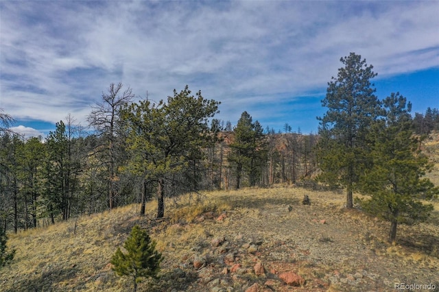 397 Chateau W Dr, Florissant, CO 80816