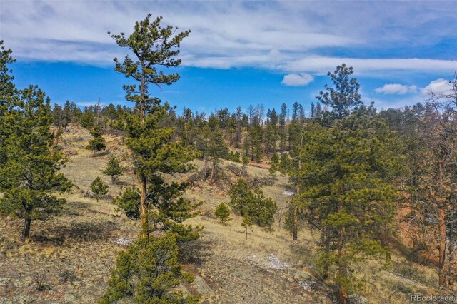 397 Chateau W Dr, Florissant, CO 80816