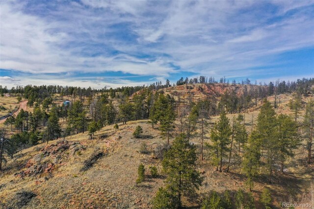 397 Chateau W Dr, Florissant, CO 80816