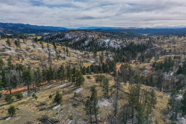 397 Chateau W Dr, Florissant, CO 80816